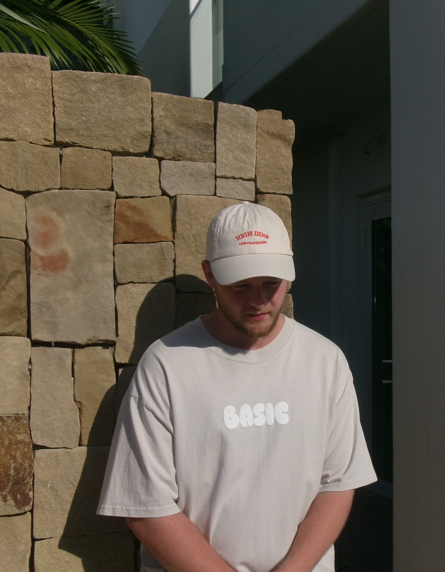 BASIC High Dins Cap